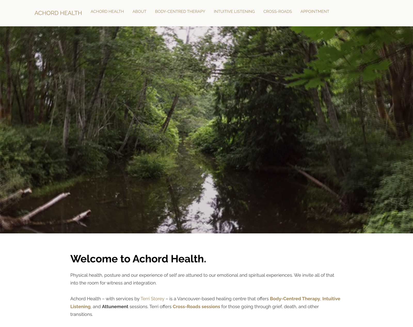 Screenshot of Achord Health WordPress website home